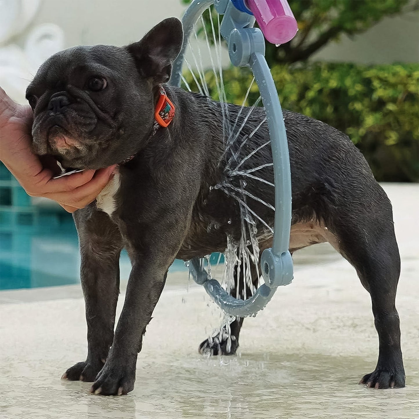 Pet Shower Sprayer  Grooming Bath Massager With Microfiber Glove