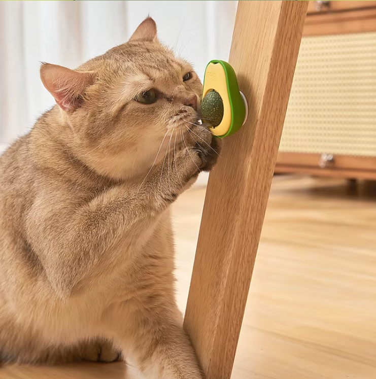 Modern Avocado Cat Toy