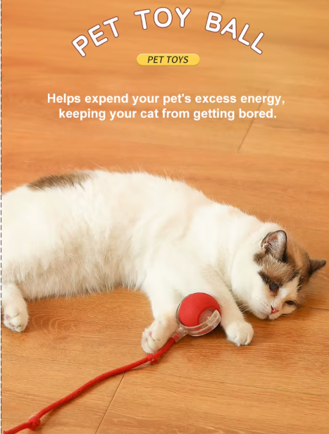 Automatic Moving Ball Dog Toy Teaser