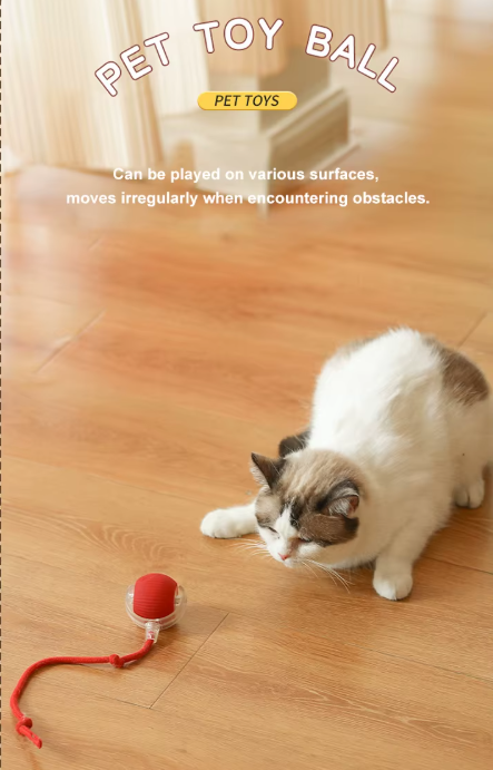 Automatic Moving Ball Dog Toy Teaser