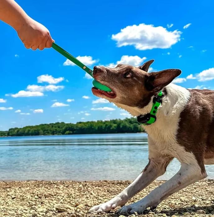 Waterproof and Durable Tennis Ball Dog Toy