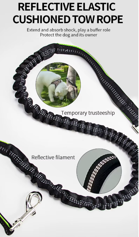 Retraceable  Dog Leash No Hand