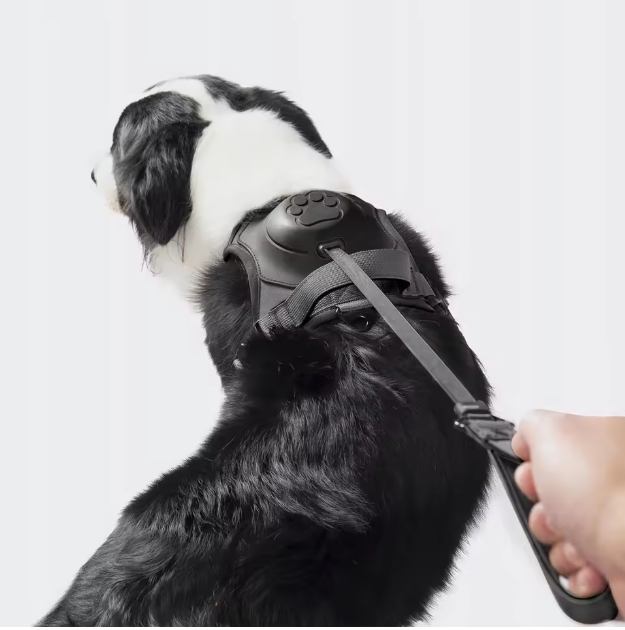 Retractable  Padded Breathable  Leash