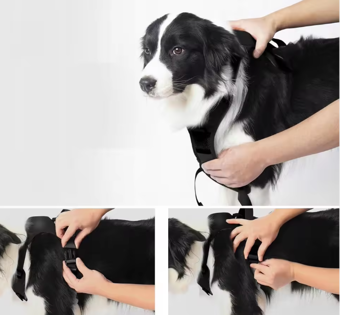 Retractable  Padded Breathable  Leash