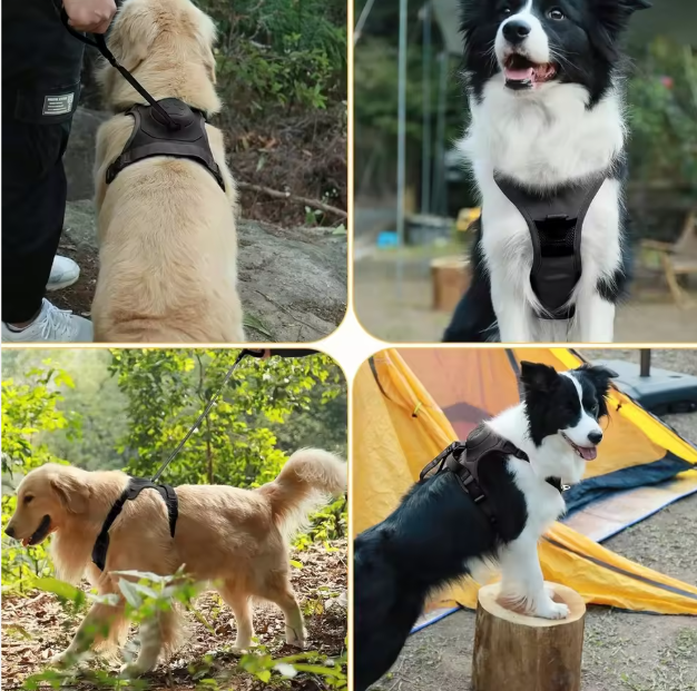 Retractable  Padded Breathable  Leash