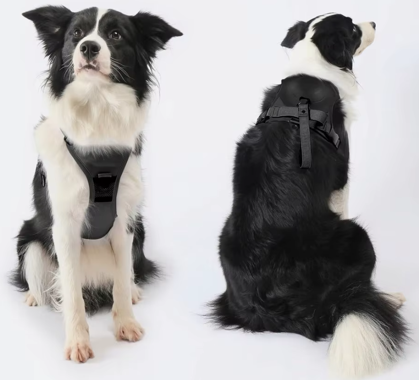 Retractable  Padded Breathable  Leash